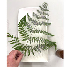 Fern Platter